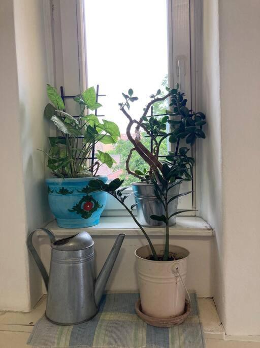 Oh Lola! Apartment Beograd Bagian luar foto