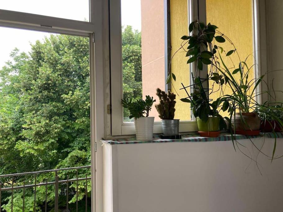 Oh Lola! Apartment Beograd Bagian luar foto