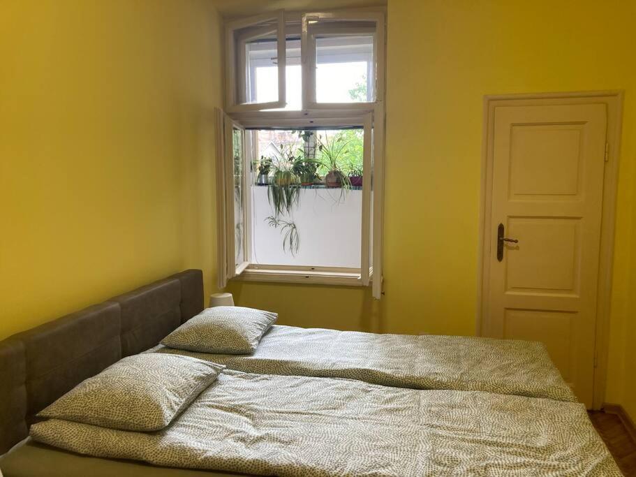 Oh Lola! Apartment Beograd Bagian luar foto
